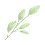 Plant-based menu integration helping restaurants add modern plant-forward offerings without disrupting operations.